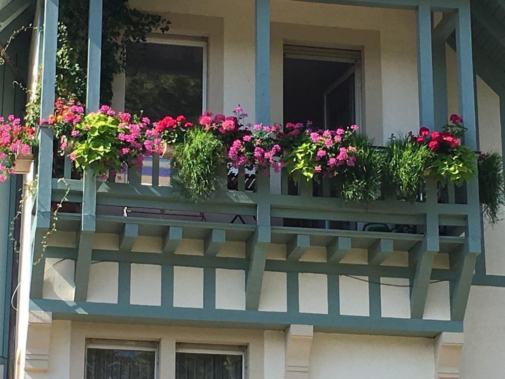 גנגנבאך Schwarzwald Villa מראה חיצוני תמונה